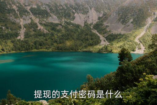 取錢密碼和支付密碼是什么情況，農(nóng)業(yè)銀行客服電話上說(shuō)的銀行卡支付密碼和ATM機(jī)取款密碼是一回事嗎