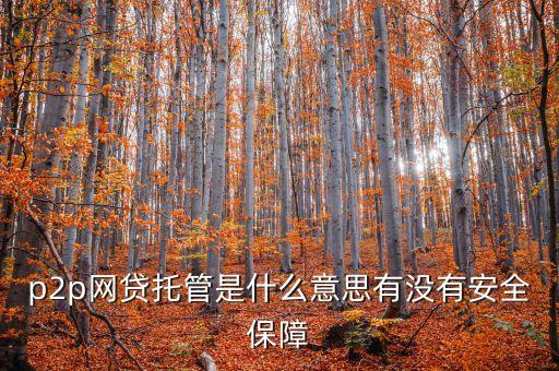 p2p網(wǎng)貸托管是什么意思有沒有安全保障