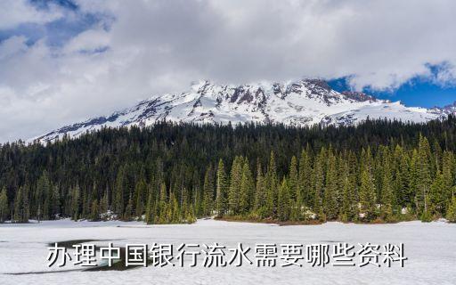 打印銀行流水需要帶什么資料，打印銀行流水需要什么
