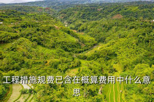 含規(guī)費是什么意思，股票圖片中的 025的低傭金含規(guī)費 是什么意思啊萬分之25