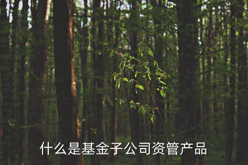 什么是基金子公司資管產(chǎn)品