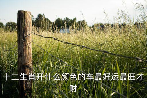 什么顏色的車聚財，什么顏色的車招財