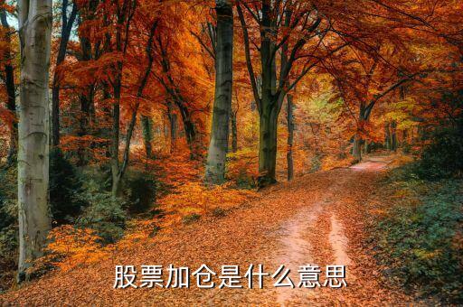 股票加倉是什么意思，股市上加倉是什么意思