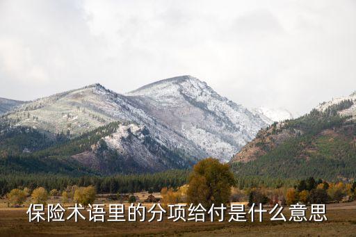 保險(xiǎn)術(shù)語(yǔ)里的分項(xiàng)給付是什么意思