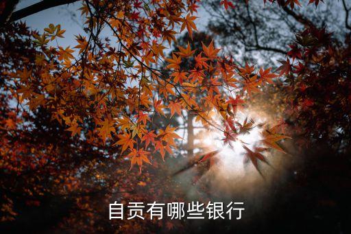 自貢有些什么銀行，自貢所有的銀行都有哪些