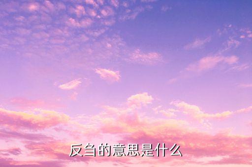 反芻的意思是什么