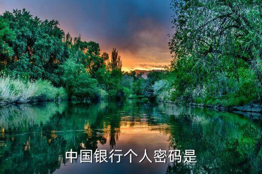 中國(guó)銀行個(gè)人密碼是