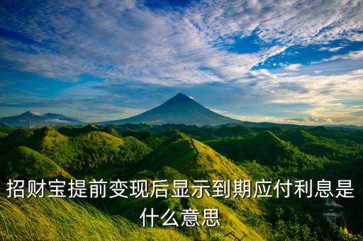 招財(cái)寶提前變現(xiàn)的結(jié)算利息是什么，招財(cái)寶提前變現(xiàn)后顯示到期應(yīng)付利息是什么意思