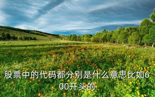 股票代碼有是什么意思，股票中的代碼都分別是什么意思比如600開頭的