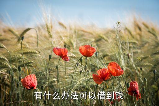 有什么可以借錢，有那些可以借錢