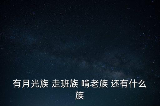 有月光族 走班族 啃老族 還有什么族