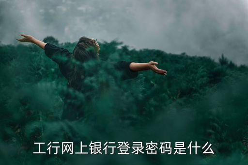 工行網(wǎng)上銀行登錄密碼是什么