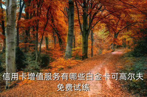 信用卡增值服務(wù)有哪些白金卡可高爾夫免費(fèi)試練