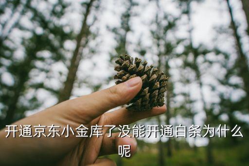 開通京東小金庫了沒能開通白條為什么呢