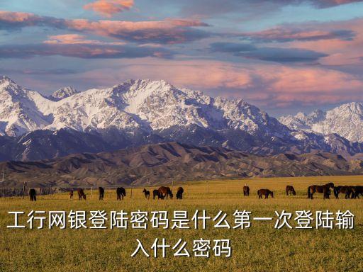 工行網(wǎng)銀登陸密碼是什么第一次登陸輸入什么密碼