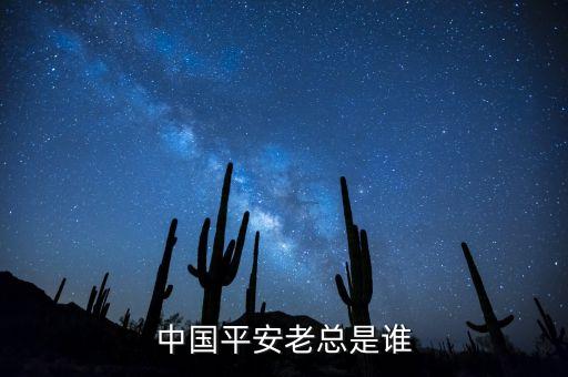 中國(guó)平安老總是誰(shuí)