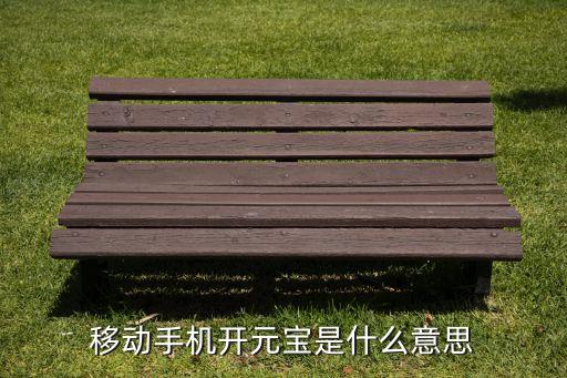 開啟寶是什么情況，開啟寶合都是騙人的
