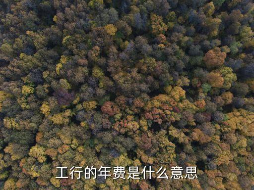 工行的年費(fèi)是什么意思