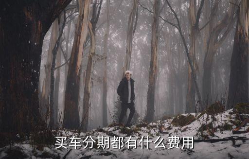 分期買車要做什么費(fèi)用，買車分期都有什么費(fèi)用