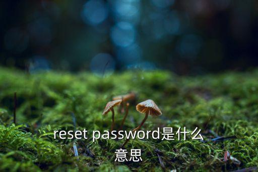 reset password是什么意思