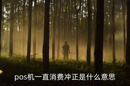 pos機(jī)沖正什么意思，沖正是什么意思
