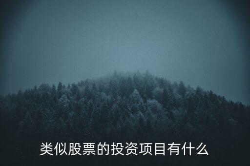 類似股票的投資項(xiàng)目有什么