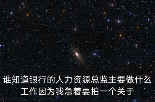 誰(shuí)知道銀行的人力資源總監(jiān)主要做什么工作因?yàn)槲壹敝囊粋€(gè)關(guān)于