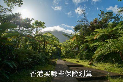香港買哪些保險劃算