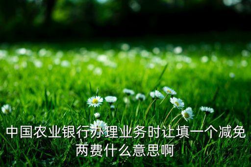 中國農業(yè)銀行辦理業(yè)務時讓填一個減免兩費什么意思啊