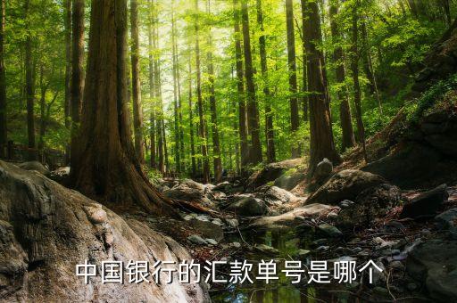 建行匯單號碼是什么，中國銀行的匯款單號是哪個