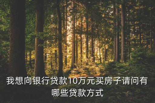 我想向銀行貸款10萬元買房子請問有哪些貸款方式