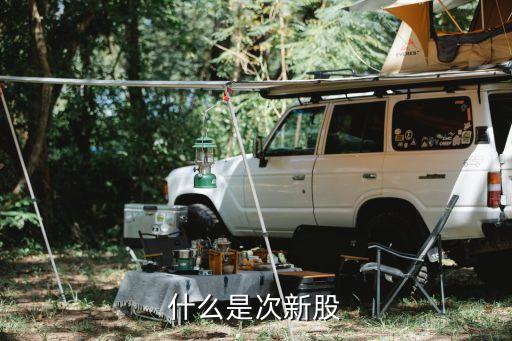 次新股是什么意思，什么是次新股