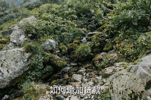什么是追加貸款嗎，平安惠普的追加貸款是什么意思