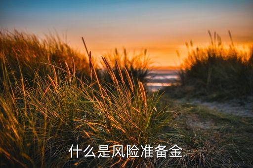 風險儲備金是什么意思，風險備用金指的是什么意思