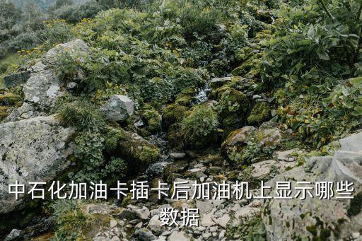 中石化加油卡插卡后加油機(jī)上顯示哪些數(shù)據(jù)