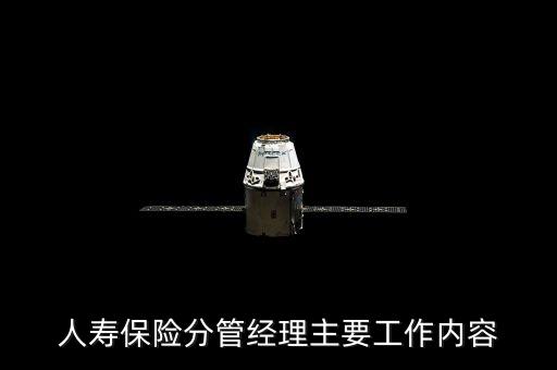 人壽保險分管經(jīng)理主要工作內(nèi)容