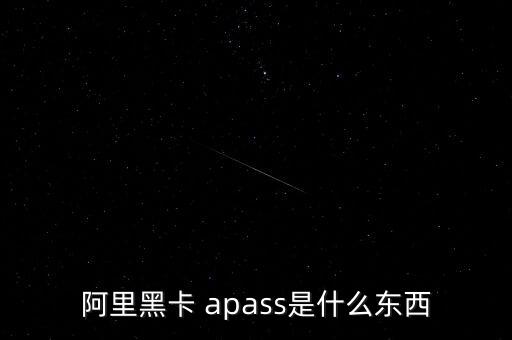 有什么黑卡，瑞士銀行最牛的是什么卡