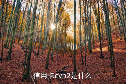 信用卡交易代碼是什么，銀行cvv2碼是什么