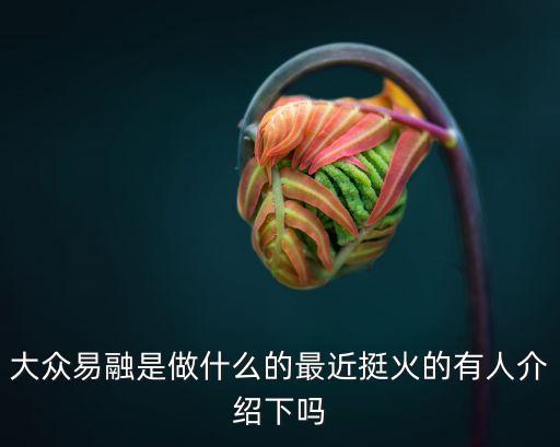 大眾易融是做什么的最近挺火的有人介紹下嗎