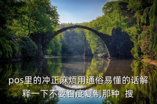 pos里的沖正麻煩用通俗易懂的話解釋一下不要百度復(fù)制那種  搜