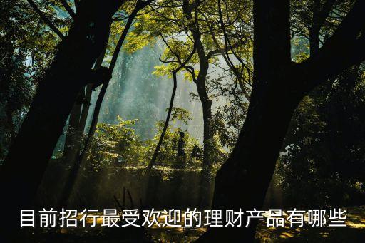 目前招行最受歡迎的理財(cái)產(chǎn)品有哪些