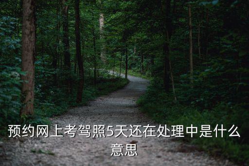 預(yù)約處理中什么意思，淘寶旅行訂機(jī)票顯示處理中是什么意思