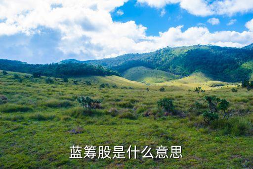 藍籌股是什么意思