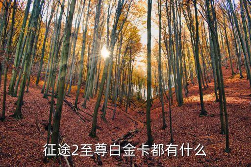 征途2至尊白金卡都有什么