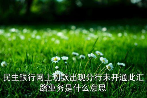 無可用匯路是什么，民生銀行網(wǎng)上劃款出現(xiàn)分行未開通此匯路業(yè)務(wù)是什么意思