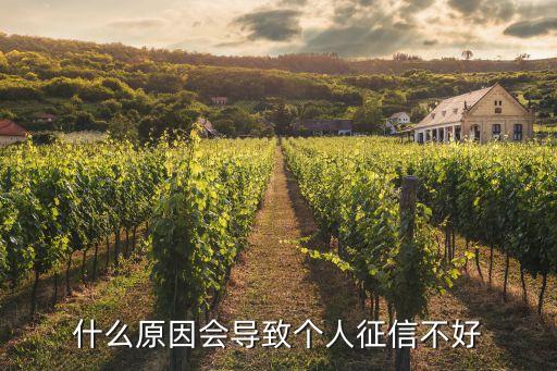 什么原因會導(dǎo)致個人征信不好