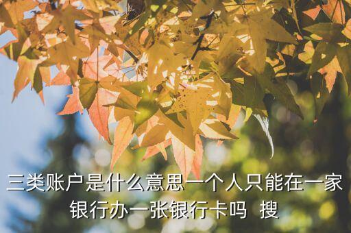 三類賬戶是什么意思一個(gè)人只能在一家銀行辦一張銀行卡嗎  搜