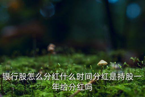 銀行股怎么分紅什么時間分紅是持股一年給分紅嗎