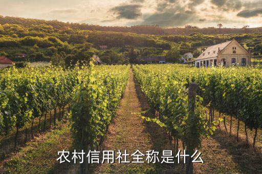 是什么農(nóng)村信用社，中國(guó)農(nóng)村信用社是什么銀行