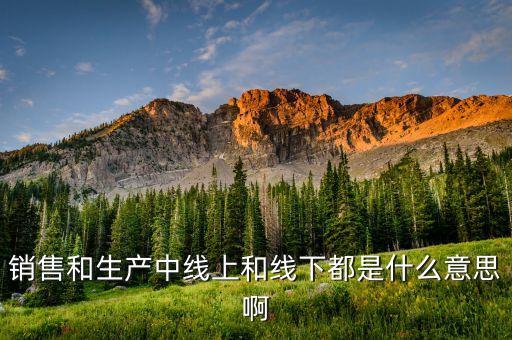 什么是線上線下，股票公司做的線上或者線下是什么意思